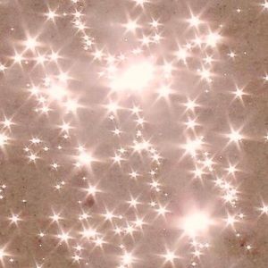 Meet your Posher, Yasmine